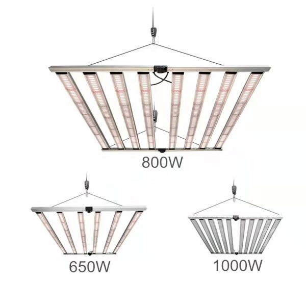 Three Kinds of Grow Lights