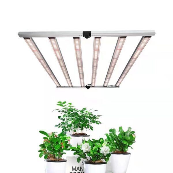 Grow Lights Above Plants